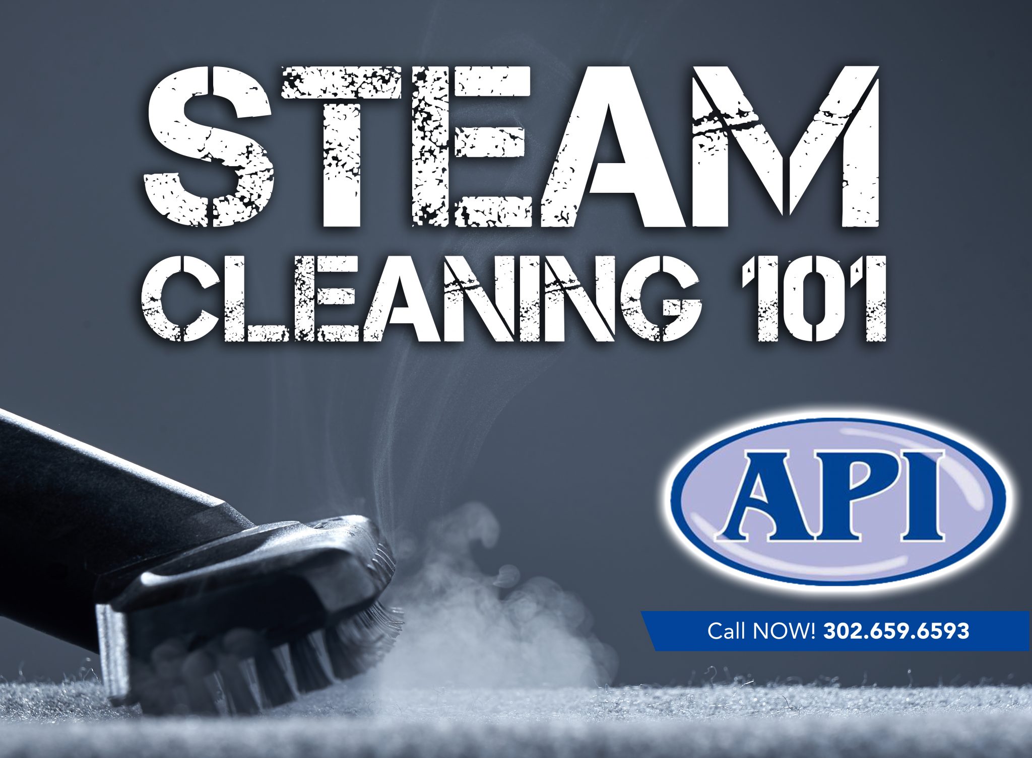 Steam Cleaning 101 What are the Benefits? Aqua Pro Inc.